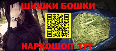 индика Лесосибирск