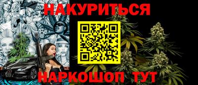 индика Лесосибирск